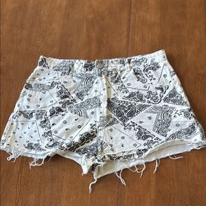 Cider Patterned Black and White Women Shorts size Large